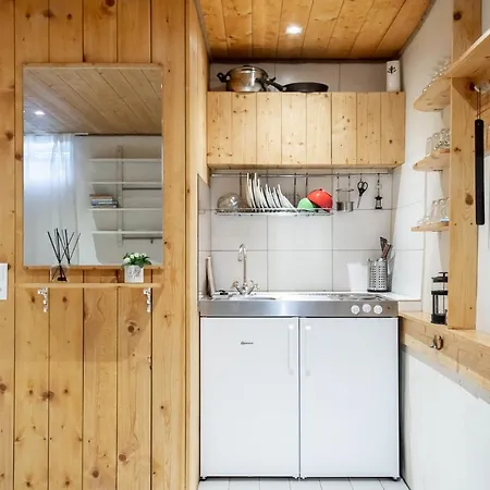Statement Basement Apartment
